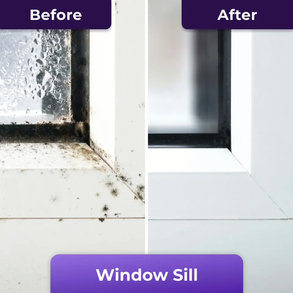 NuroClean Mold Remover Gel Customer Reviews 3